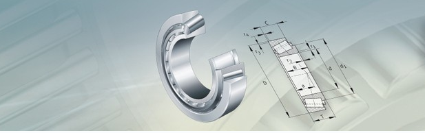 Tianjin omiter import bearing Co. Ltd.-Products-Tapered roller bearing